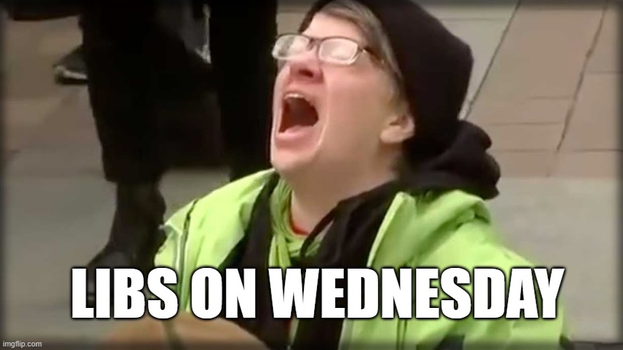 Trump SJW No | LIBS ON WEDNESDAY | image tagged in trump sjw no | made w/ Imgflip meme maker