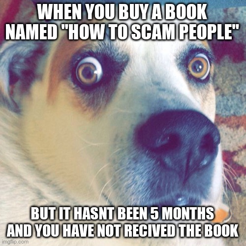 WHEN YOU BUY A BOOK NAMED "HOW TO SCAM PEOPLE"; BUT IT HASNT BEEN 5 MONTHS AND YOU HAVE NOT RECIVED THE BOOK | image tagged in surprised or worried,funny,fun | made w/ Imgflip meme maker