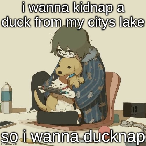 Avogado6 | i wanna kidnap a duck from my citys lake; so i wanna ducknap | image tagged in avogado6 | made w/ Imgflip meme maker