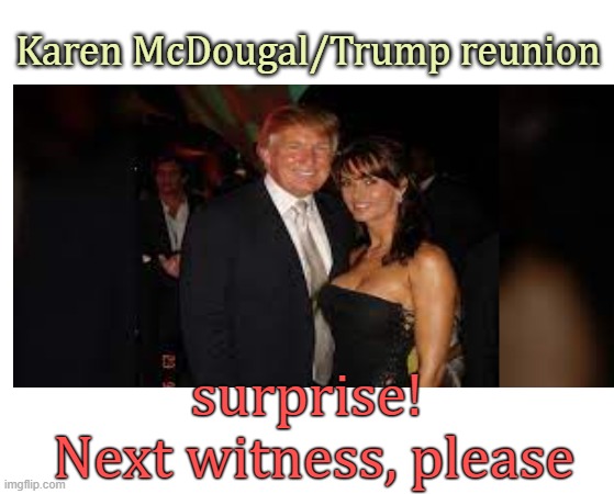 Karen McDougal/Trump reunion surprise!
 Next witness, please | made w/ Imgflip meme maker