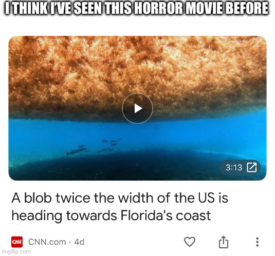 Blob Heading Towards US | I THINK I’VE SEEN THIS HORROR MOVIE BEFORE | image tagged in blob,horror movie,florida,united states,news | made w/ Imgflip meme maker