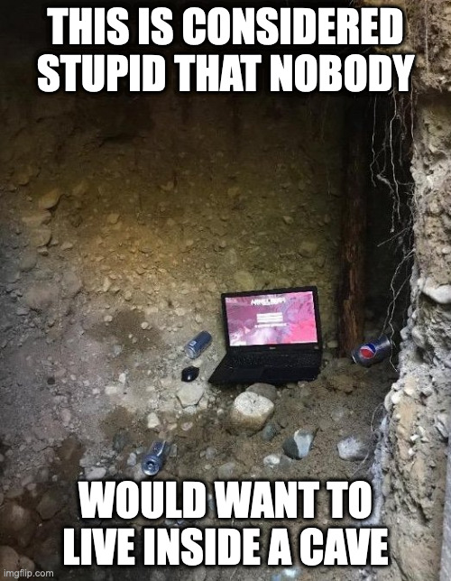Laptop Inside Cave | THIS IS CONSIDERED STUPID THAT NOBODY; WOULD WANT TO LIVE INSIDE A CAVE | image tagged in cave,computer,memes | made w/ Imgflip meme maker