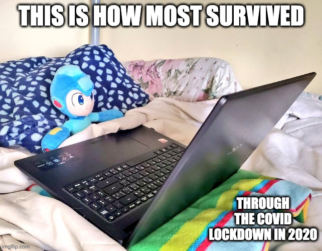 Mega Man on Laptop | THIS IS HOW MOST SURVIVED; THROUGH THE COVID LOCKDOWN IN 2020 | image tagged in megaman,memes,computer | made w/ Imgflip meme maker