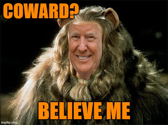 cowardly lion | COWARD? BELIEVE ME | image tagged in cowardly lion | made w/ Imgflip meme maker