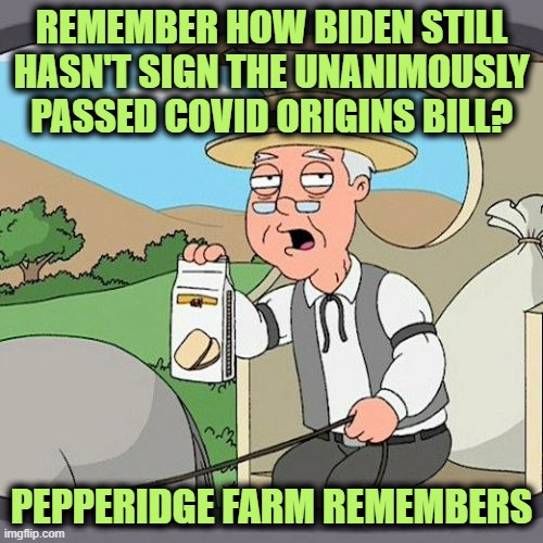 Hopefully, This Meme won't Age Well . . . or Will It? | REMEMBER HOW BIDEN STILL HASN'T SIGN THE UNANIMOUSLY PASSED COVID ORIGINS BILL? PEPPERIDGE FARM REMEMBERS | image tagged in memes,pepperidge farm remembers | made w/ Imgflip meme maker