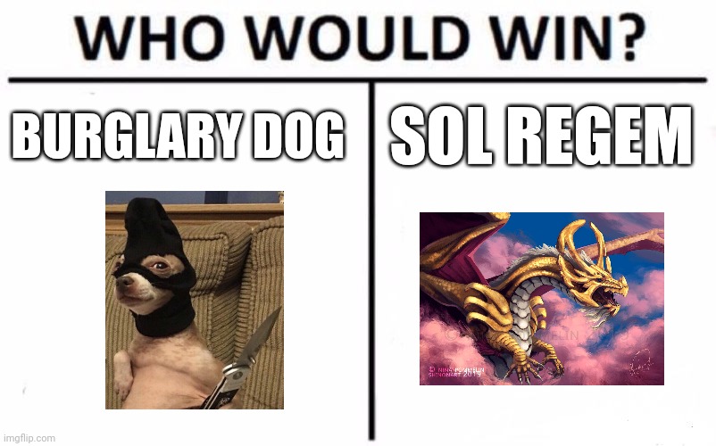 Burglary dog vs sol Regem | BURGLARY DOG; SOL REGEM | image tagged in memes,who would win | made w/ Imgflip meme maker