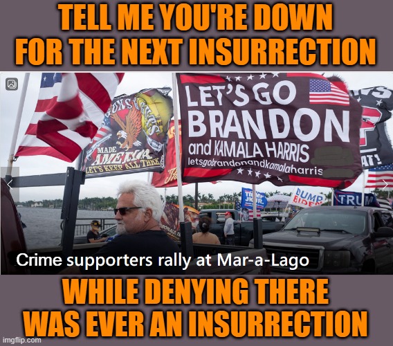 You kind of blew your load prematurely on the FBI search - more serious indictments are coming. | TELL ME YOU'RE DOWN FOR THE NEXT INSURRECTION; Crime; WHILE DENYING THERE WAS EVER AN INSURRECTION | image tagged in memes,politics,lol | made w/ Imgflip meme maker