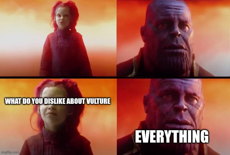 thanos what did it cost | WHAT DO YOU DISLIKE ABOUT VULTURE EVERYTHING | image tagged in thanos what did it cost | made w/ Imgflip meme maker