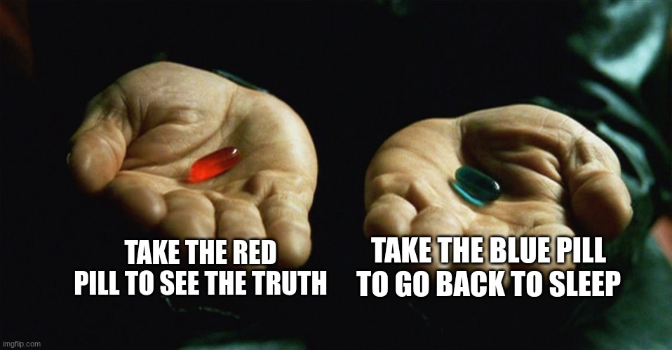 red or blue | TAKE THE RED PILL TO SEE THE TRUTH; TAKE THE BLUE PILL TO GO BACK TO SLEEP | image tagged in red pill blue pill | made w/ Imgflip meme maker