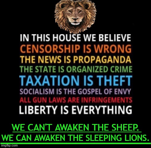 Critical Thinking |  ________________; WE CAN'T AWAKEN THE SHEEP. ________________; WE CAN AWAKEN THE SLEEPING LIONS. | image tagged in politics,conservative logic,liberty,beliefs,american,values | made w/ Imgflip meme maker