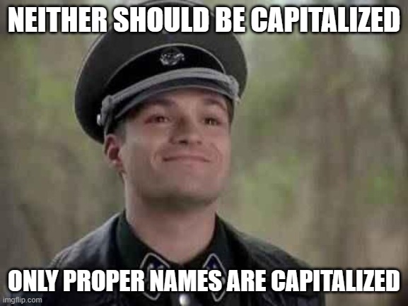 grammar nazi | NEITHER SHOULD BE CAPITALIZED ONLY PROPER NAMES ARE CAPITALIZED | image tagged in grammar nazi | made w/ Imgflip meme maker