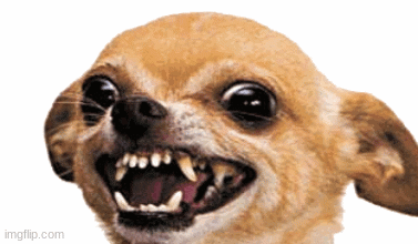 dogs | image tagged in gifs,dogs | made w/ Imgflip images-to-gif maker