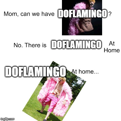 Doflamingo at home | DOFLAMINGO; DOFLAMINGO; DOFLAMINGO | image tagged in mom can we have | made w/ Imgflip meme maker
