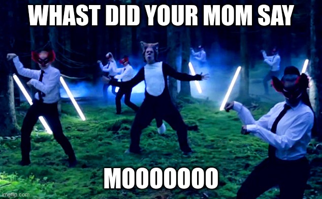 don't take it the wrong way | WHAST DID YOUR MOM SAY; MOOOOOOO | image tagged in wow | made w/ Imgflip meme maker