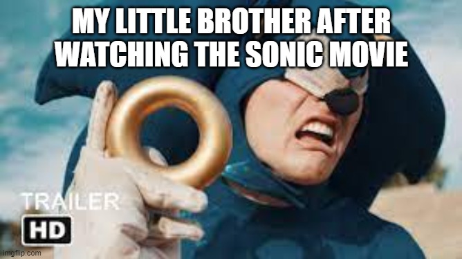 MY LITTLE BROTHER AFTER WATCHING THE SONIC MOVIE | image tagged in funny memes | made w/ Imgflip meme maker