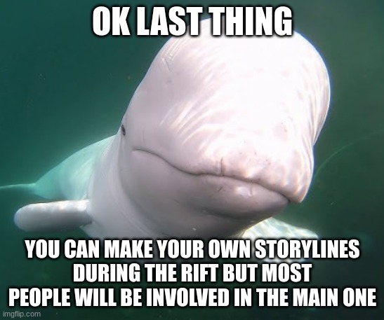 Beluga stare | OK LAST THING; YOU CAN MAKE YOUR OWN STORYLINES DURING THE RIFT BUT MOST PEOPLE WILL BE INVOLVED IN THE MAIN ONE | image tagged in beluga stare | made w/ Imgflip meme maker