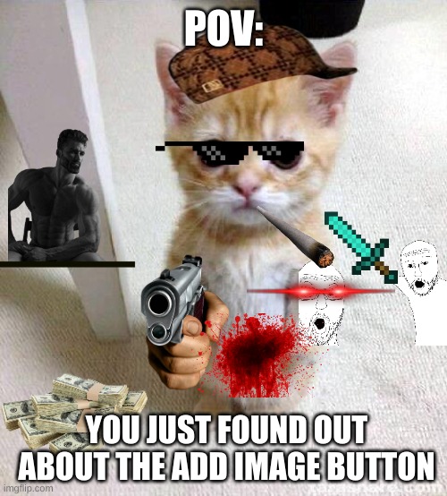 Cute Cat | POV:; YOU JUST FOUND OUT ABOUT THE ADD IMAGE BUTTON | image tagged in memes,cute cat | made w/ Imgflip meme maker
