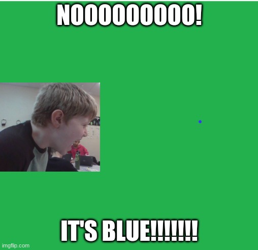 that one kid who is obsessed with blue | NOOOOOOOOO! IT'S BLUE!!!!!!! | image tagged in green screen,its blue,weird kid | made w/ Imgflip meme maker