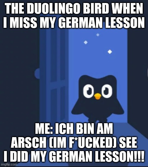 Duolingo bird | THE DUOLINGO BIRD WHEN I MISS MY GERMAN LESSON; ME: ICH BIN AM ARSCH (IM F*UCKED) SEE I DID MY GERMAN LESSON!!! | image tagged in duolingo bird | made w/ Imgflip meme maker