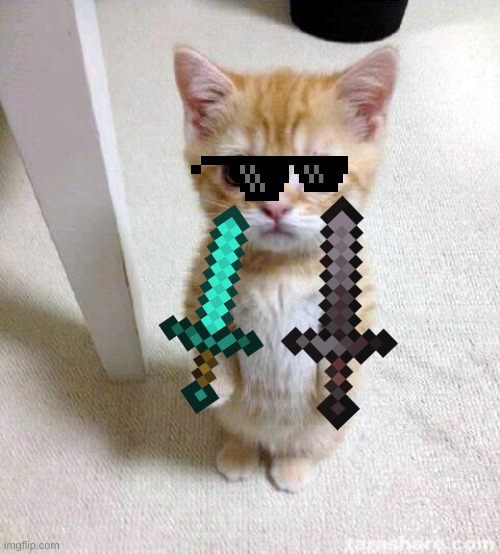 Cute Cat Meme | image tagged in memes,cute cat | made w/ Imgflip meme maker