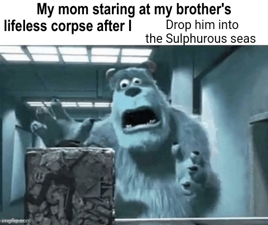 My mom staring at my brother's lifeless corpse after I blank | Drop him into the Sulphurous seas | image tagged in my mom staring at my brother's lifeless corpse after i blank | made w/ Imgflip meme maker
