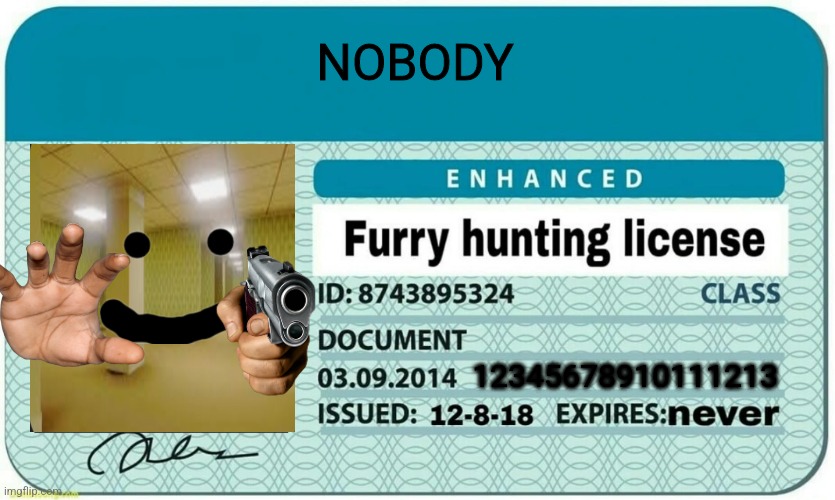 furry hunting license | NOBODY; 12345678910111213 | image tagged in furry hunting license | made w/ Imgflip meme maker