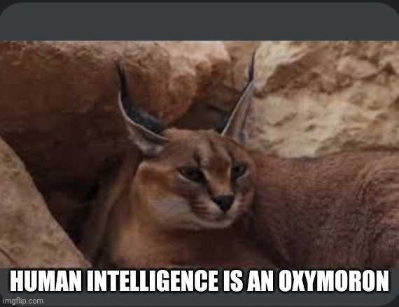 HUMAN INTELLIGENCE IS AN OXYMORON | made w/ Imgflip meme maker