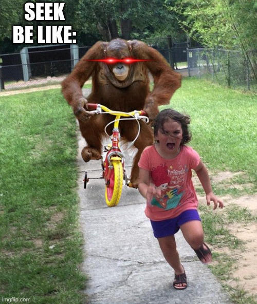 Orangutan chasing girl on a tricycle | SEEK BE LIKE: | image tagged in orangutan chasing girl on a tricycle | made w/ Imgflip meme maker