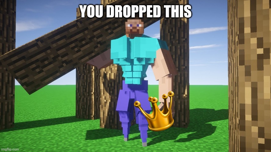 buff steve | YOU DROPPED THIS | image tagged in buff steve | made w/ Imgflip meme maker