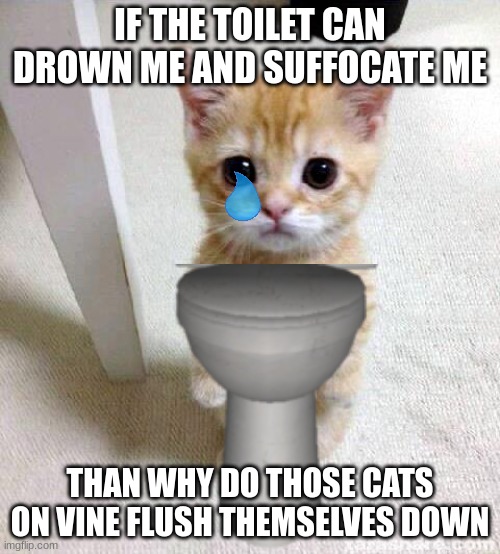 and what do their owners do... | IF THE TOILET CAN DROWN ME AND SUFFOCATE ME; THAN WHY DO THOSE CATS ON VINE FLUSH THEMSELVES DOWN | image tagged in memes,cute cat,cat down a toilet | made w/ Imgflip meme maker