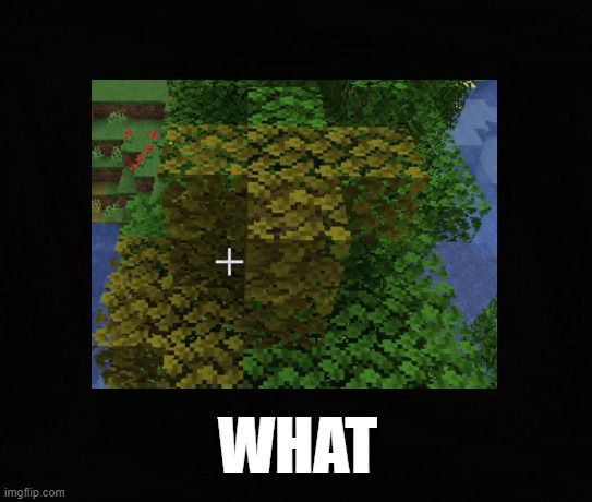 ...Hmmm... | WHAT | image tagged in yay | made w/ Imgflip meme maker