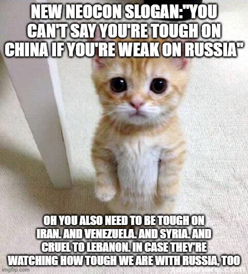 Cute Cat Meme | NEW NEOCON SLOGAN:"YOU CAN'T SAY YOU'RE TOUGH ON CHINA IF YOU'RE WEAK ON RUSSIA"; OH YOU ALSO NEED TO BE TOUGH ON IRAN. AND VENEZUELA. AND SYRIA. AND CRUEL TO LEBANON. IN CASE THEY'RE WATCHING HOW TOUGH WE ARE WITH RUSSIA, TOO | image tagged in memes,cute cat | made w/ Imgflip meme maker