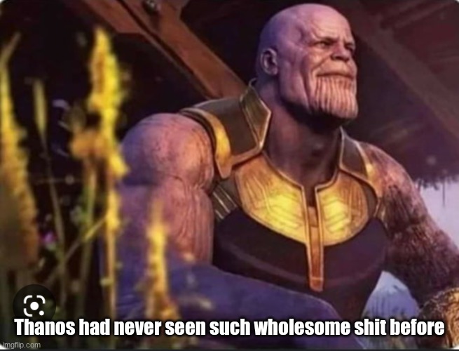 Thanos Peace | Thanos had never seen such wholesome shit before | image tagged in thanos peace | made w/ Imgflip meme maker