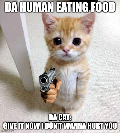 Cute Cat | DA HUMAN EATING FOOD; DA CAT:
GIVE IT NOW I DON'T WANNA HURT YOU | image tagged in memes,cute cat | made w/ Imgflip meme maker