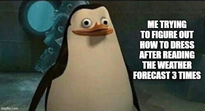 March Weather | ME TRYING TO FIGURE OUT HOW TO DRESS AFTER READING THE WEATHER FORECAST 3 TIMES | image tagged in confused private penguin,weather | made w/ Imgflip meme maker