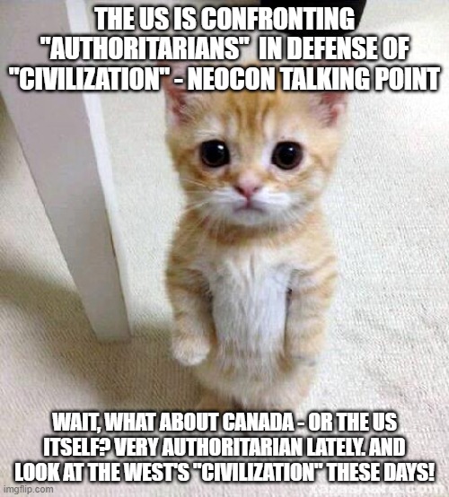 Cute Cat | THE US IS CONFRONTING "AUTHORITARIANS"  IN DEFENSE OF "CIVILIZATION" - NEOCON TALKING POINT; WAIT, WHAT ABOUT CANADA - OR THE US ITSELF? VERY AUTHORITARIAN LATELY. AND LOOK AT THE WEST'S "CIVILIZATION" THESE DAYS! | image tagged in memes,cute cat | made w/ Imgflip meme maker