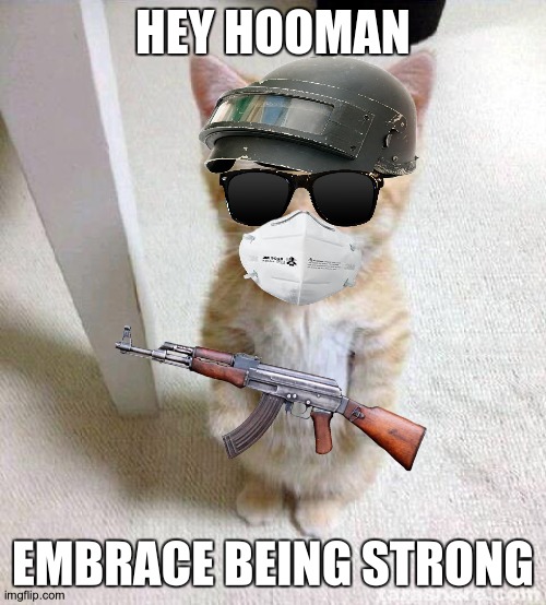 soldier commando cat | HEY HOOMAN; EMBRACE BEING STRONG | image tagged in memes,cute cat | made w/ Imgflip meme maker