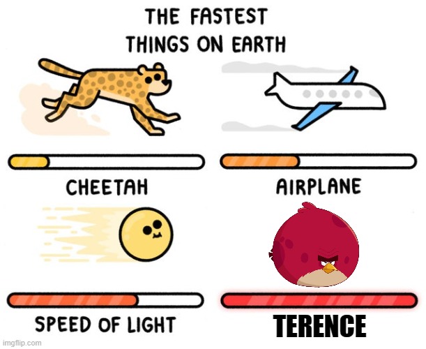 who needs the Flash when we have Terence | TERENCE | image tagged in fastest thing possible,angry birds,i am speed | made w/ Imgflip meme maker