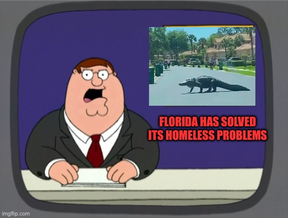 Peter Griffin News Meme | FLORIDA HAS SOLVED ITS HOMELESS PROBLEMS | image tagged in memes,peter griffin news | made w/ Imgflip meme maker