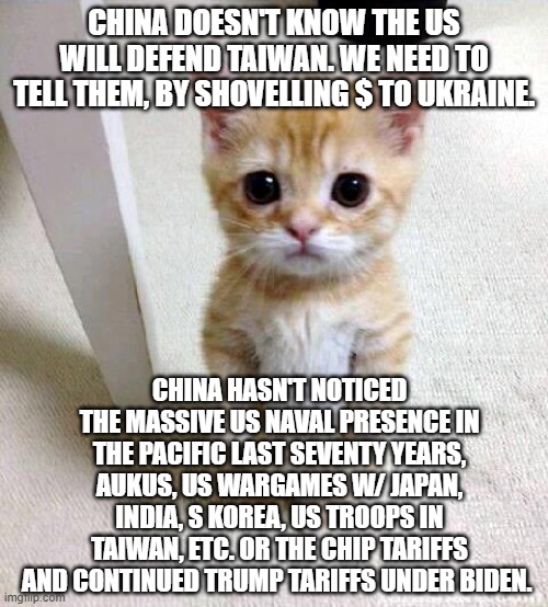 Cute Cat | CHINA DOESN'T KNOW THE US WILL DEFEND TAIWAN. WE NEED TO TELL THEM, BY SHOVELLING $ TO UKRAINE. CHINA HASN'T NOTICED THE MASSIVE US NAVAL PRESENCE IN THE PACIFIC LAST SEVENTY YEARS, AUKUS, US WARGAMES W/ JAPAN, INDIA, S KOREA, US TROOPS IN TAIWAN, ETC. OR THE CHIP TARIFFS AND CONTINUED TRUMP TARIFFS UNDER BIDEN. | image tagged in memes,cute cat | made w/ Imgflip meme maker