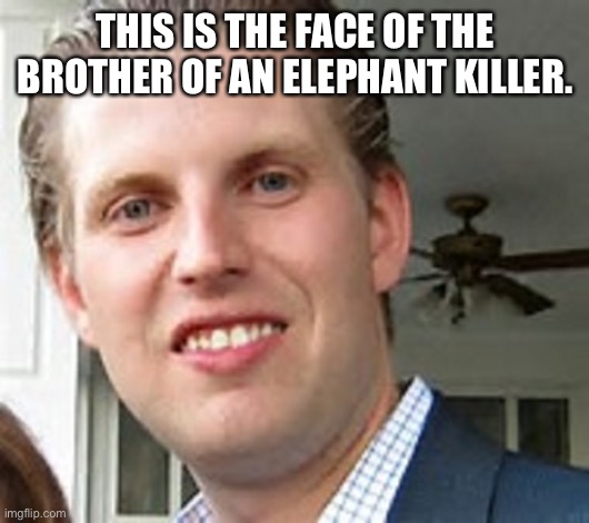 eric trump | THIS IS THE FACE OF THE BROTHER OF AN ELEPHANT KILLER. | image tagged in eric trump | made w/ Imgflip meme maker