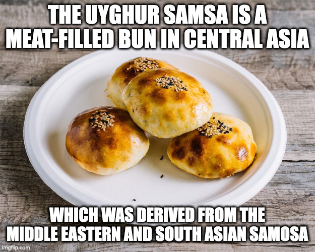 Samsa | THE UYGHUR SAMSA IS A MEAT-FILLED BUN IN CENTRAL ASIA; WHICH WAS DERIVED FROM THE MIDDLE EASTERN AND SOUTH ASIAN SAMOSA | image tagged in food,memes | made w/ Imgflip meme maker