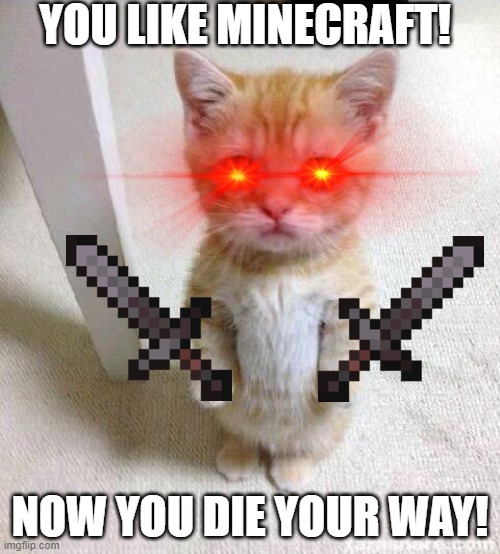 Cute Cat | YOU LIKE MINECRAFT! NOW YOU DIE YOUR WAY! | image tagged in memes,cute cat | made w/ Imgflip meme maker