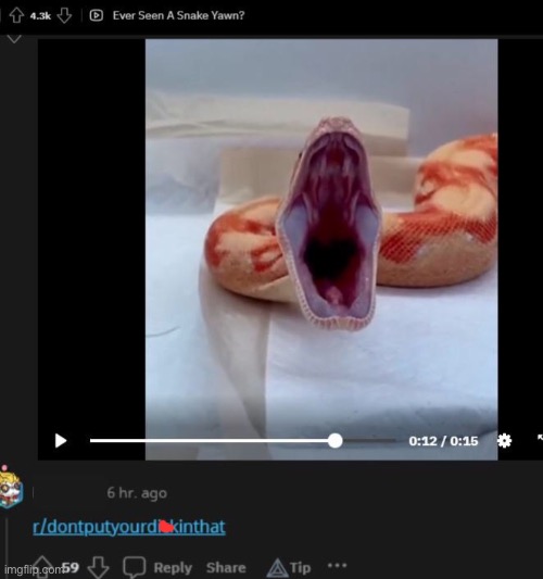 Cursed_Snake | image tagged in cursed,comments,funny | made w/ Imgflip meme maker