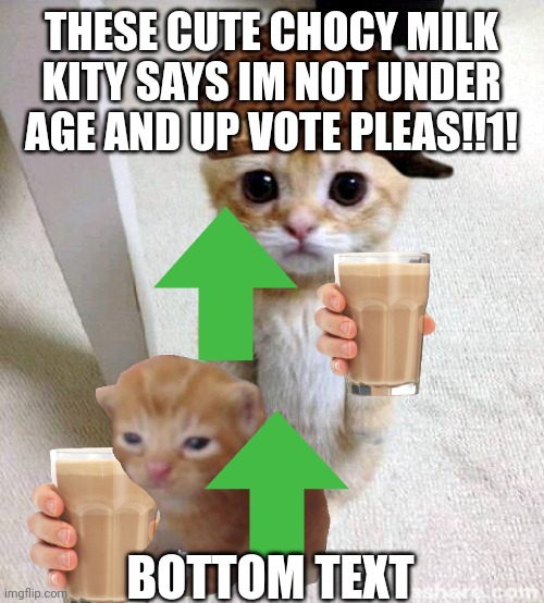 Sure you're not underage kid | THESE CUTE CHOCY MILK KITY SAYS IM NOT UNDER AGE AND UP VOTE PLEAS!!1! BOTTOM TEXT | image tagged in memes,cute cat,underage users,underage,upvote begging,upvote beggars | made w/ Imgflip meme maker