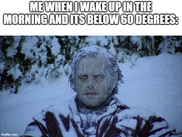 ice cold | ME WHEN I WAKE UP IN THE MORNING AND ITS BELOW 60 DEGREES: | image tagged in cold,funny,memes,if you read this tag you are cursed,morning,why did i make this | made w/ Imgflip meme maker