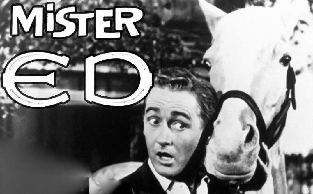 Mister Ed Blank Meme Template