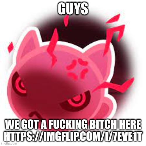 We got a bitch here | GUYS; WE GOT A FUCKING BITCH HERE
HTTPS://IMGFLIP.COM/I/7EVE1T | image tagged in feral main template | made w/ Imgflip meme maker