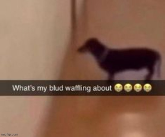 lol | image tagged in what's my blud waffling about | made w/ Imgflip meme maker