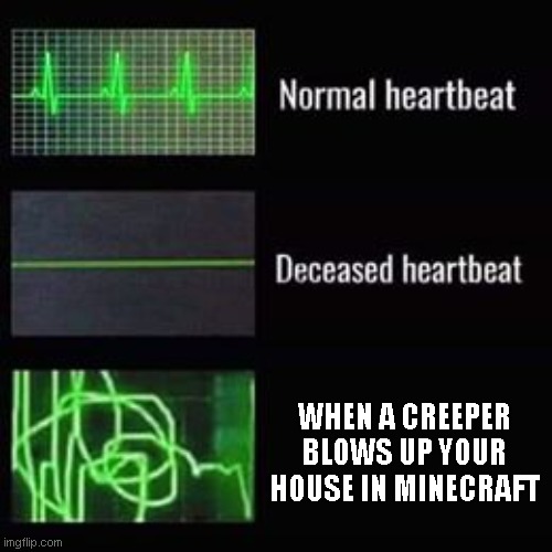 very painful, i experienced it and my heart broke lol | WHEN A CREEPER BLOWS UP YOUR HOUSE IN MINECRAFT | image tagged in heartbeat rate | made w/ Imgflip meme maker